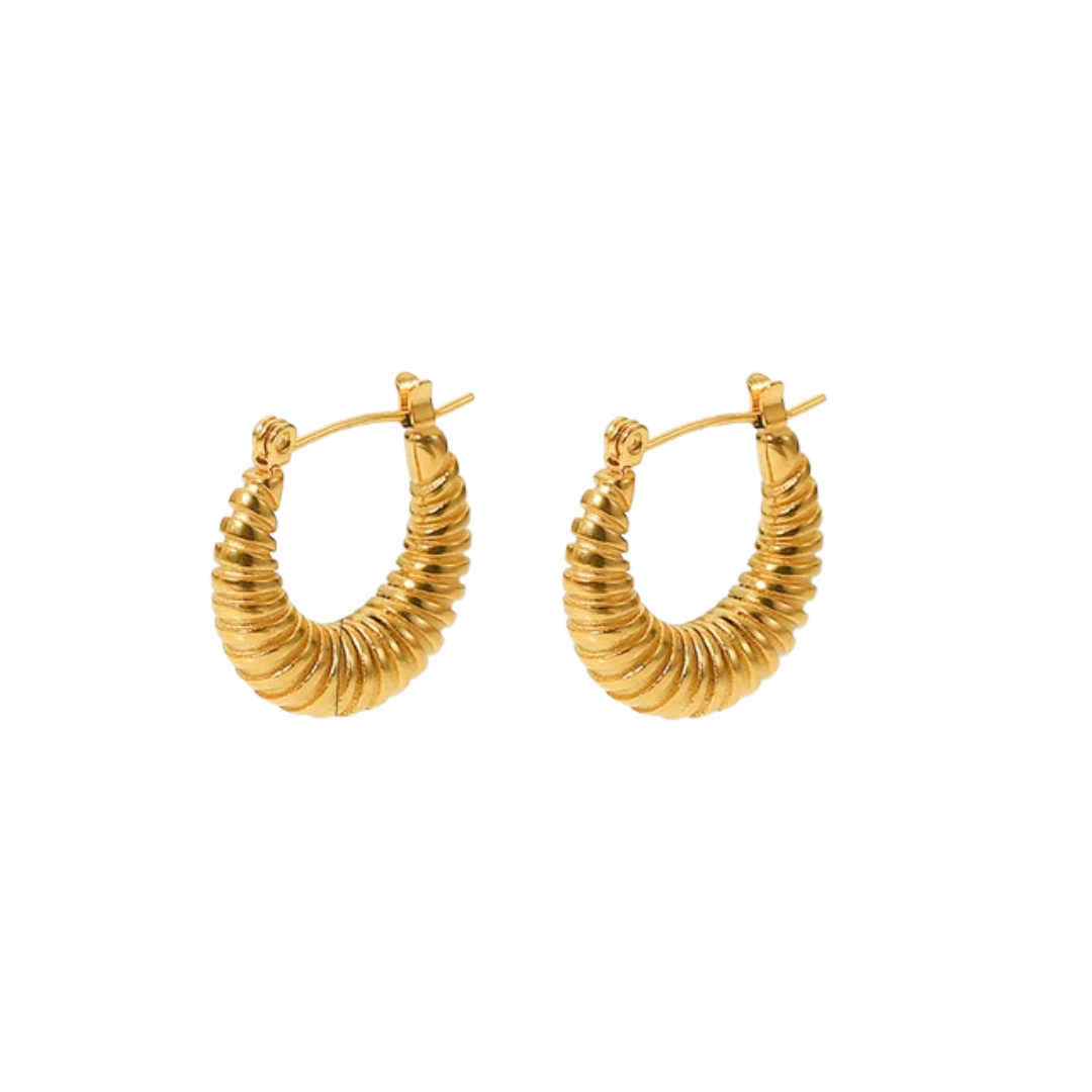 Stainless Steel Chunky Hoop Earrings Jewelry For Women
