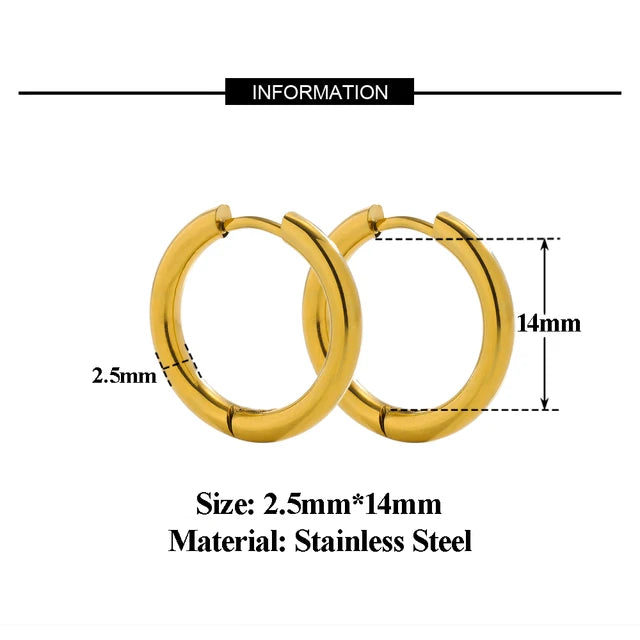 10pcs Stainless Steel Hoop Earrings